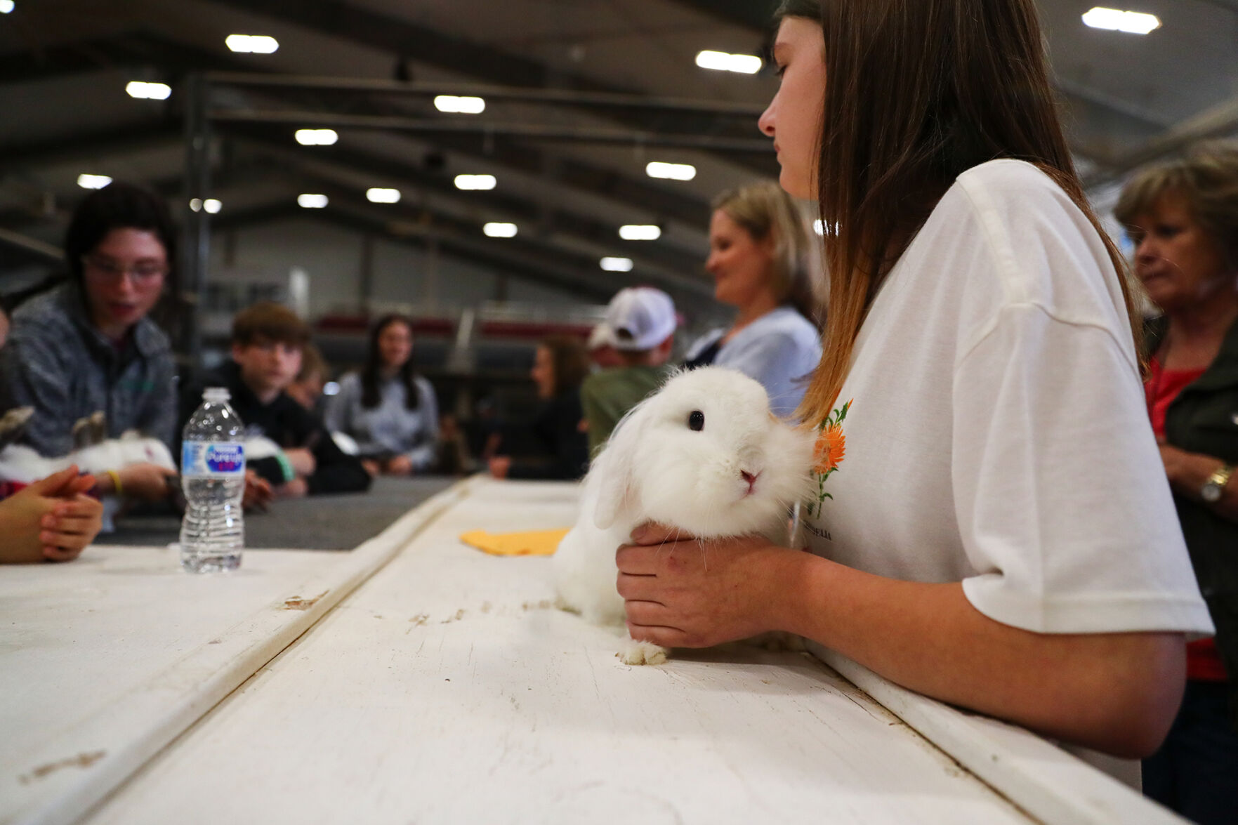 Brazos Valley Youth Livestock Show